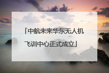 中航未来华东无人机飞训中心正式成立