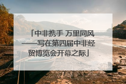 中非携手 万里同风——写在第四届中非经贸博览会开幕之际