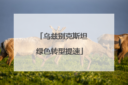 乌兹别克斯坦绿色转型提速