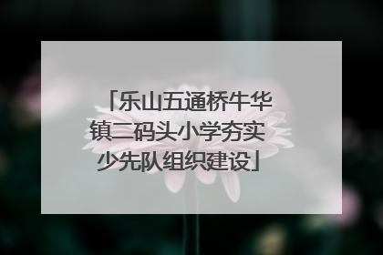 乐山五通桥牛华镇二码头小学夯实少先队组织建设