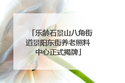 乐龄石景山八角街道景阳东街养老照料中心正式揭牌