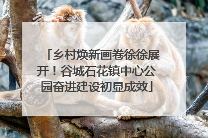 乡村焕新画卷徐徐展开！谷城石花镇中心公园奋进建设初显成效