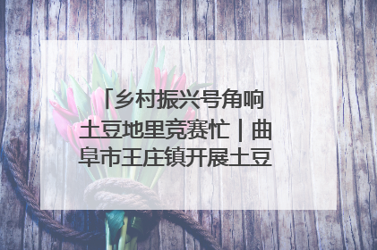 乡村振兴号角响 土豆地里竞赛忙｜曲阜市王庄镇开展土豆收获劳动竞赛