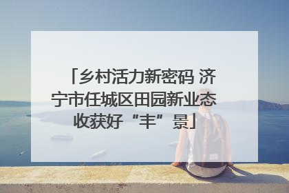 乡村活力新密码 济宁市任城区田园新业态收获好“丰”景