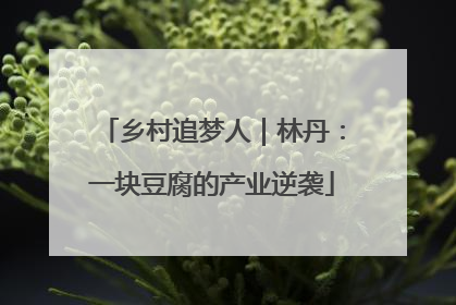 乡村追梦人｜林丹：一块豆腐的产业逆袭