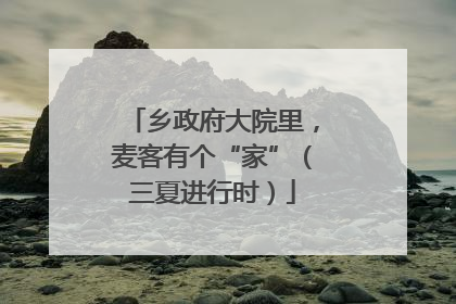 乡政府大院里，麦客有个“家”（三夏进行时）