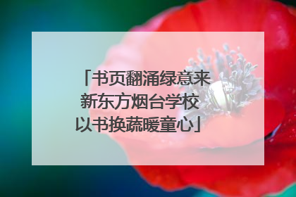 书页翻涌绿意来 新东方烟台学校以书换蔬暖童心
