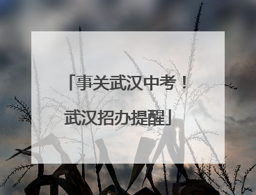 事关武汉中考！武汉招办提醒