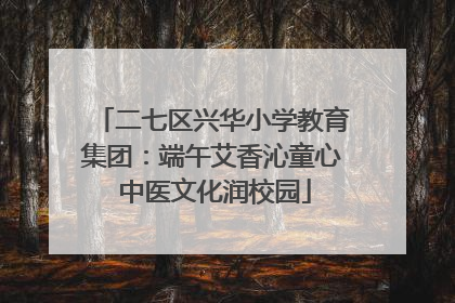 二七区兴华小学教育集团：端午艾香沁童心 中医文化润校园