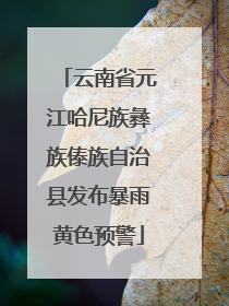 云南省元江哈尼族彝族傣族自治县发布暴雨黄色预警