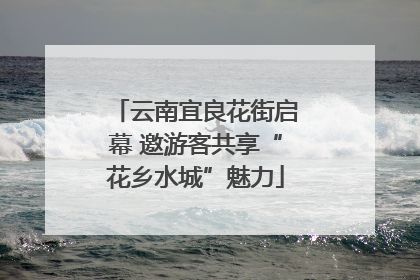 云南宜良花街启幕 邀游客共享“花乡水城”魅力