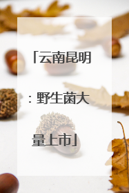 云南昆明：野生菌大量上市