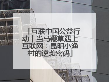 互联中国公益行动丨当马鞭草遇上互联网：昆明小渔村的逆袭密码
