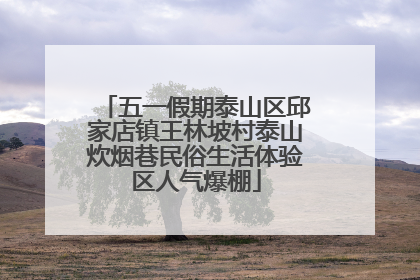 五一假期泰山区邱家店镇王林坡村泰山炊烟巷民俗生活体验区人气爆棚