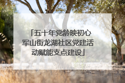 五十年党龄映初心 军山街龙湖社区党建活动赋能支点建设