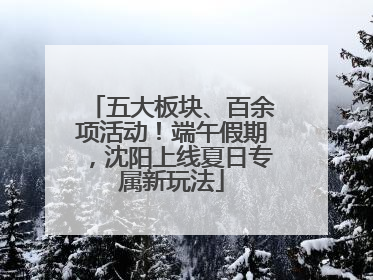 五大板块、百余项活动！端午假期，沈阳上线夏日专属新玩法