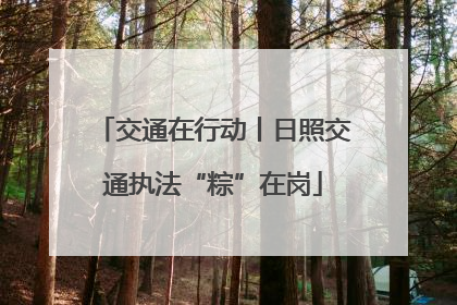 交通在行动丨日照交通执法“粽”在岗