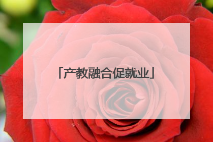 产教融合促就业