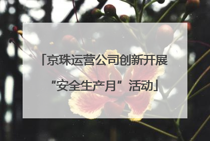 京珠运营公司创新开展“安全生产月”活动