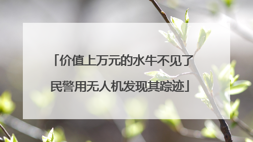 价值上万元的水牛不见了 民警用无人机发现其踪迹