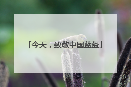 今天，致敬中国蓝盔