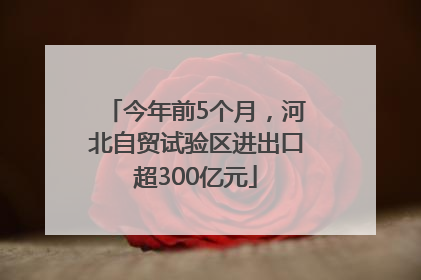 今年前5个月，河北自贸试验区进出口超300亿元