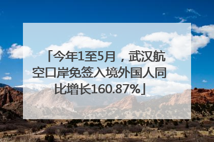今年1至5月，武汉航空口岸免签入境外国人同比增长160.87%