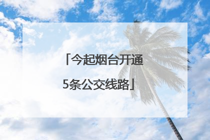 今起烟台开通5条公交线路