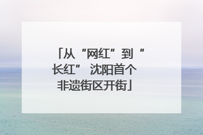 从“网红”到“长红” 沈阳首个非遗街区开街