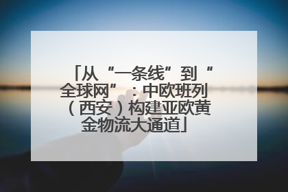 从“一条线”到“全球网”：中欧班列（西安）构建亚欧黄金物流大通道