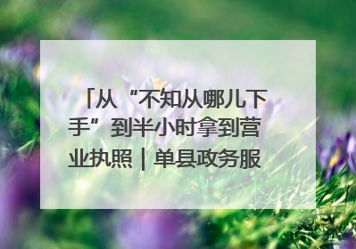 从“不知从哪儿下手”到半小时拿到营业执照｜单县政务服务与群众期待的“双向奔赴”
