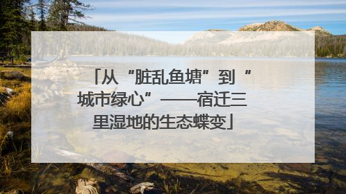 从“脏乱鱼塘”到“城市绿心”——宿迁三里湿地的生态蝶变