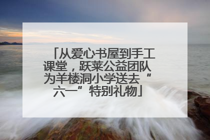 从爱心书屋到手工课堂，跃莱公益团队为羊楼洞小学送去“六一”特别礼物