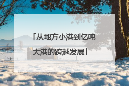 从地方小港到亿吨大港的跨越发展
