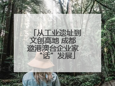 从工业遗址到文创高地 成都邀港澳台企业家“话”发展