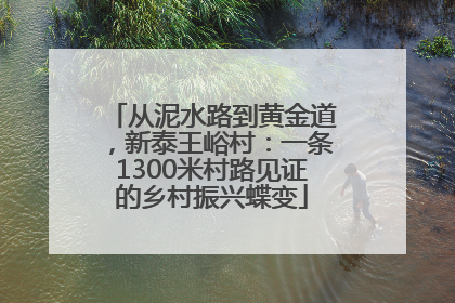 从泥水路到黄金道，新泰王峪村：一条1300米村路见证的乡村振兴蝶变