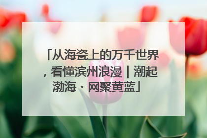 从海瓷上的万千世界，看懂滨州浪漫｜潮起渤海・网聚黄蓝