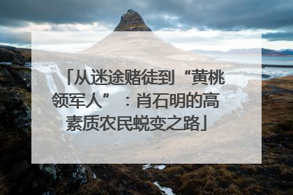 从迷途赌徒到“黄桃领军人”：肖石明的高素质农民蜕变之路