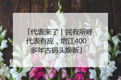 代表来了｜民有所呼代表有应，增江400多年古码头焕新