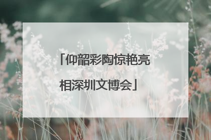 仰韶彩陶惊艳亮相深圳文博会