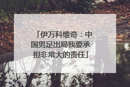 伊万科维奇：中国男足出局我要承担非常大的责任