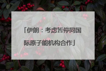 伊朗：考虑暂停同国际原子能机构合作