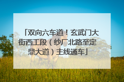 双向六车道！玄武门大街西工段（纱厂北路至定鼎大道）主线通车