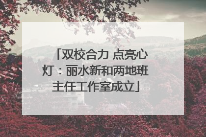 双校合力 点亮心灯：丽水新和两地班主任工作室成立