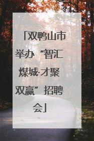 双鸭山市举办“智汇煤城·才聚双赢”招聘会