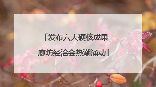 发布六大硬核成果 廊坊经洽会热潮涌动