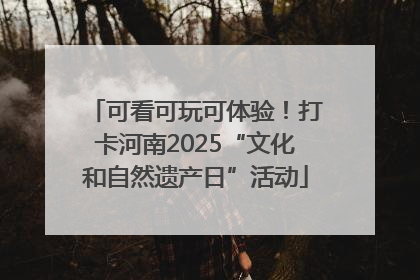 可看可玩可体验！打卡河南2025“文化和自然遗产日”活动