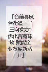台前县凤台街道：“三向发力”优化营商环境 赋能企业发展新活力
