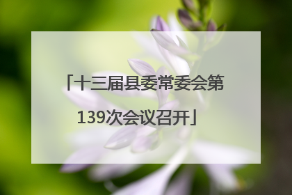 十三届县委常委会第139次会议召开