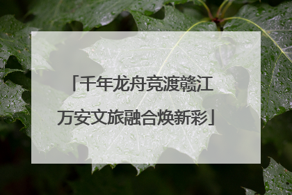 千年龙舟竞渡赣江 万安文旅融合焕新彩